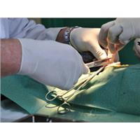 Anestezi ve Cerrahi Operasyonlar